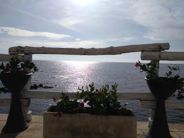 Al Chiaro Di Luna Resort Borgo Pantano Buitenkant foto